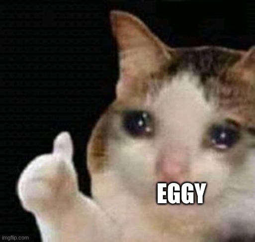 sad thumbs up cat | EGGY | image tagged in sad thumbs up cat | made w/ Imgflip meme maker