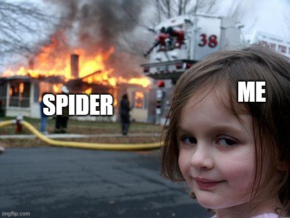 Disaster Girl | ME; SPIDER | image tagged in memes,disaster girl | made w/ Imgflip meme maker