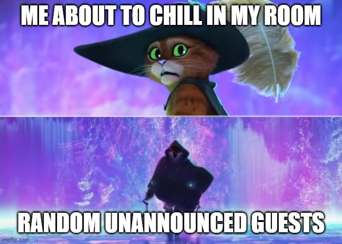 Come on man | ME ABOUT TO CHILL IN MY ROOM; RANDOM UNANNOUNCED GUESTS | image tagged in puss and death | made w/ Imgflip meme maker