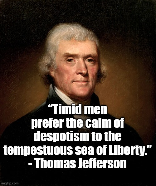 Liberty | “Timid men prefer the calm of despotism to the tempestuous sea of Liberty.”
- Thomas Jefferson | image tagged in thomas jefferson,politics,liberty | made w/ Imgflip meme maker