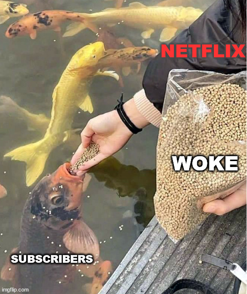 Force Fed | NETFLIX; WOKE; SUBSCRIBERS | image tagged in force fed | made w/ Imgflip meme maker