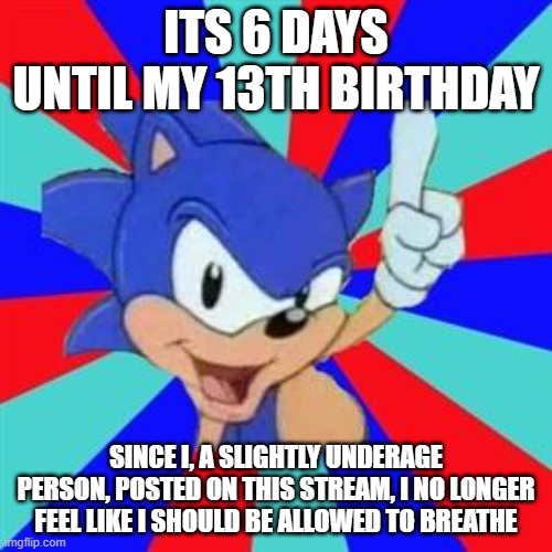 I actually feel this way. I take rules seriously, yet i love to break them for some reason. Dont ban me im almost 13 my bday is  | ITS 6 DAYS UNTIL MY 13TH BIRTHDAY; SINCE I, A SLIGHTLY UNDERAGE PERSON, POSTED ON THIS STREAM, I NO LONGER FEEL LIKE I SHOULD BE ALLOWED TO BREATHE | image tagged in sonic sez | made w/ Imgflip meme maker