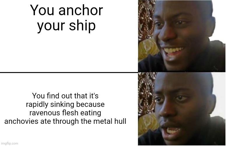 Run from the anchovies | You anchor your ship; You find out that it's rapidly sinking because ravenous flesh eating anchovies ate through the metal hull | image tagged in disappointed black guy | made w/ Imgflip meme maker