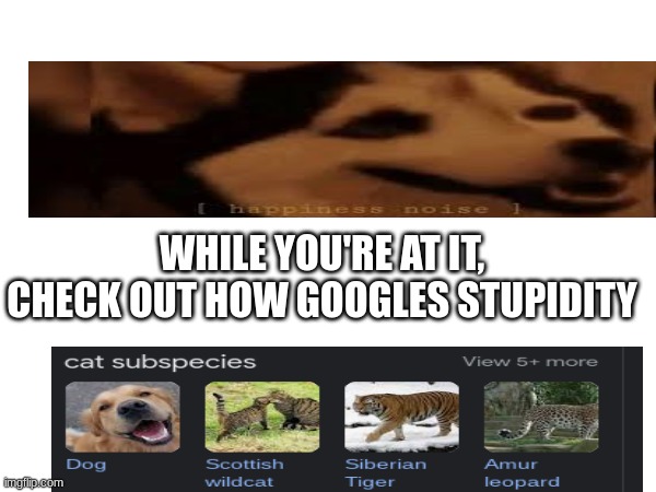 WHILE YOU'RE AT IT, CHECK OUT HOW GOOGLES STUPIDITY | made w/ Imgflip meme maker