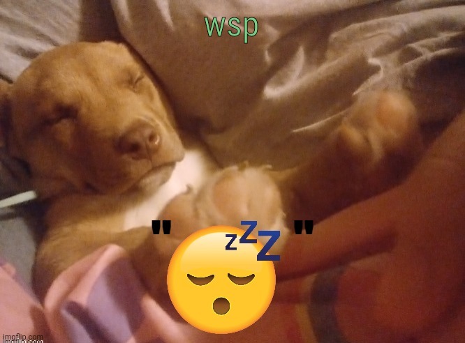 quandale | wsp | image tagged in quandale | made w/ Imgflip meme maker