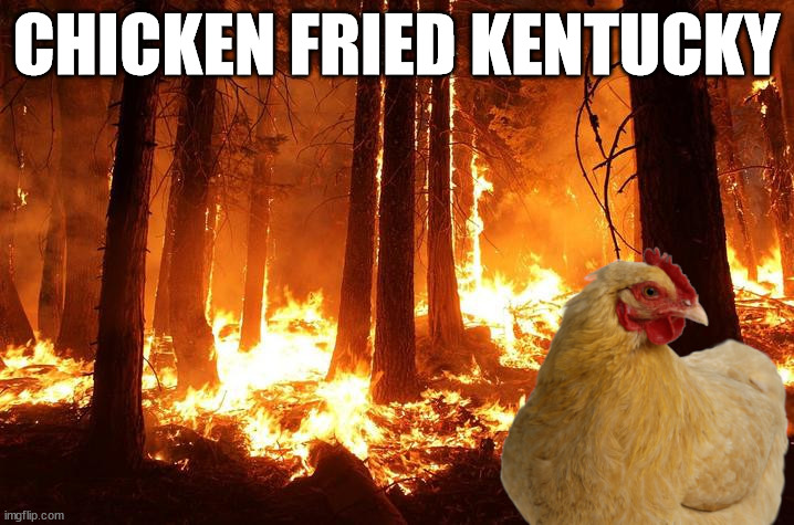 Chicken Fried Kentucky | CHICKEN FRIED KENTUCKY | image tagged in kfc,forest,chicken,forest fire | made w/ Imgflip meme maker