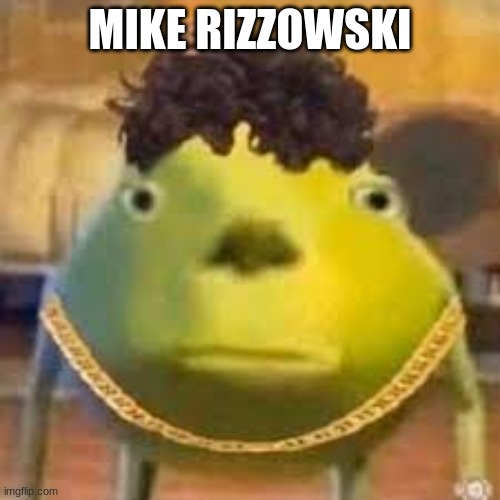 MIKE RIZZOWSKI | image tagged in funny,funny meme | made w/ Imgflip meme maker