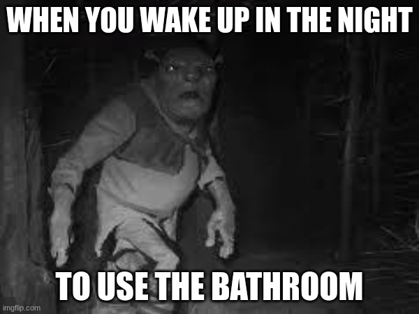 shek | WHEN YOU WAKE UP IN THE NIGHT; TO USE THE BATHROOM | image tagged in shrek | made w/ Imgflip meme maker