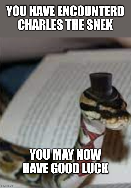 holy snek | YOU HAVE ENCOUNTERD CHARLES THE SNEK; YOU MAY NOW HAVE GOOD LUCK | image tagged in fun | made w/ Imgflip meme maker