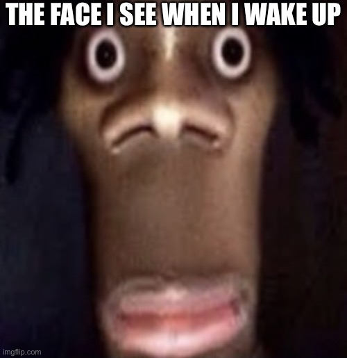 Ruhroh | THE FACE I SEE WHEN I WAKE UP | image tagged in quandale dingle,funny,bruh,bruhh,haha,chuck norris | made w/ Imgflip meme maker