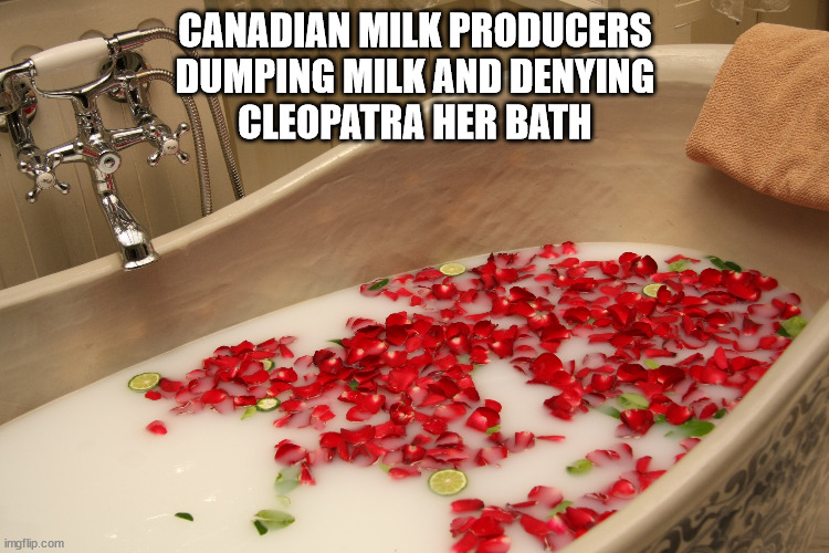 Celo's Bath | CANADIAN MILK PRODUCERS
DUMPING MILK AND DENYING
CLEOPATRA HER BATH | image tagged in milk_bath_spa_in_dvn_ 2413988302 | made w/ Imgflip meme maker