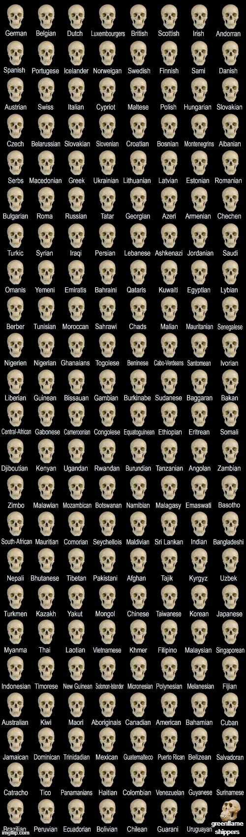 Deformed skull | greenflame shippers | image tagged in deformed skull | made w/ Imgflip meme maker