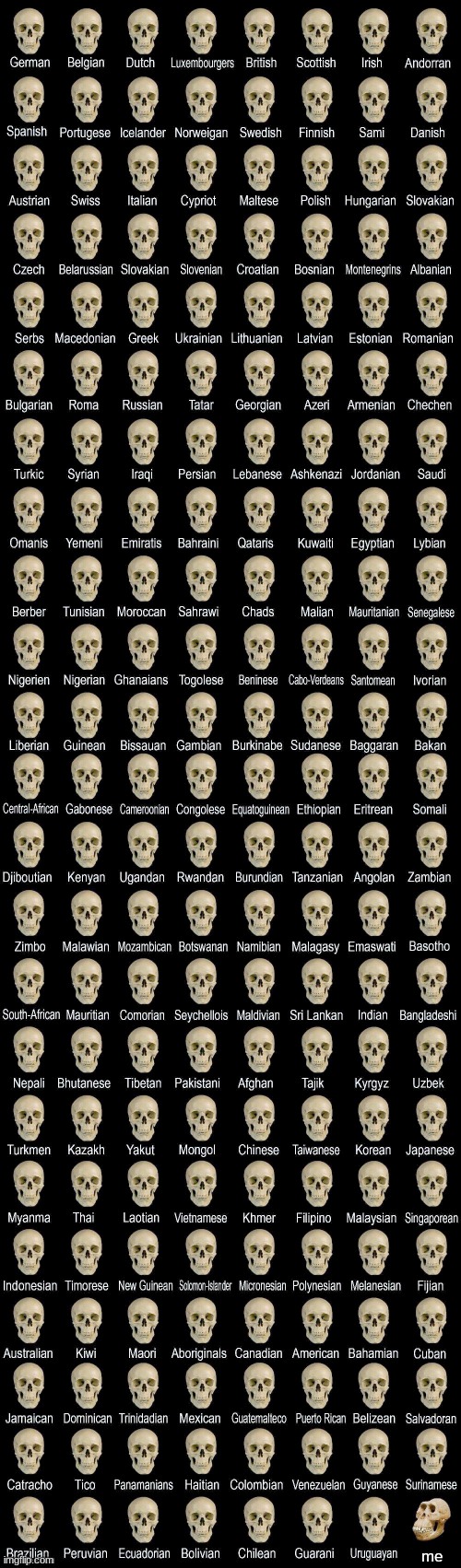 Deformed skull | me | image tagged in deformed skull | made w/ Imgflip meme maker