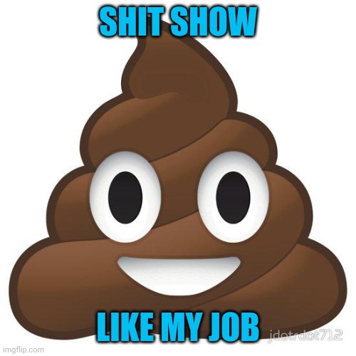 So sick of the professional idiocy | SHIT SHOW; LIKE MY JOB | image tagged in poop | made w/ Imgflip meme maker