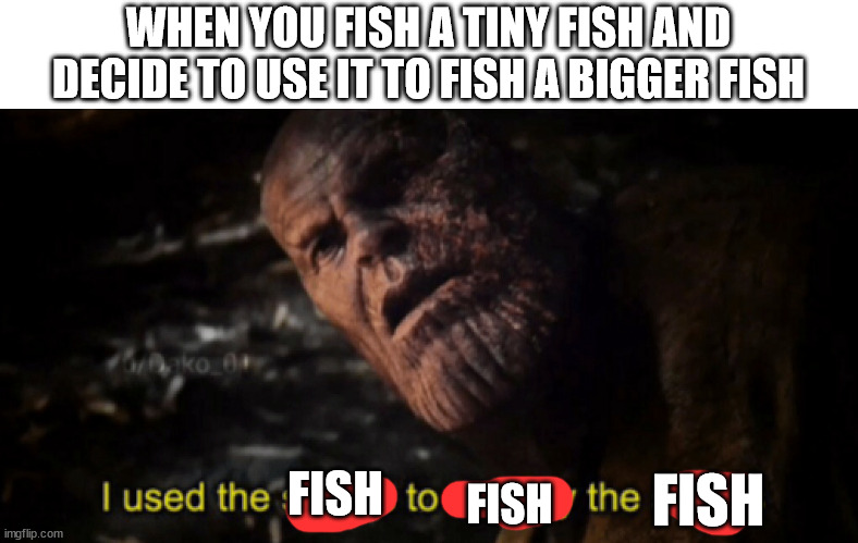 I used the stones to destroy the stones |  WHEN YOU FISH A TINY FISH AND DECIDE TO USE IT TO FISH A BIGGER FISH; FISH; FISH; FISH | image tagged in i used the stones to destroy the stones,memes,funny,fish | made w/ Imgflip meme maker
