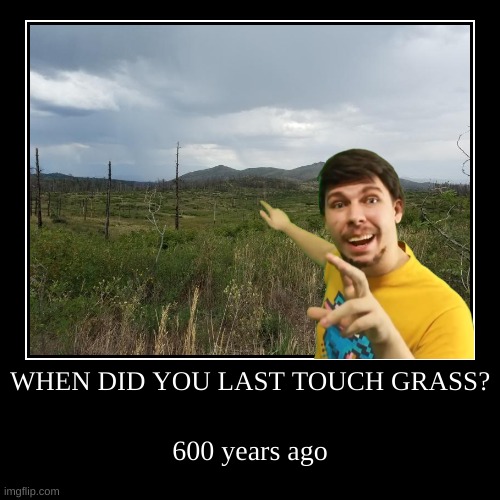 touch grass | image tagged in funny,demotivationals,grass | made w/ Imgflip demotivational maker