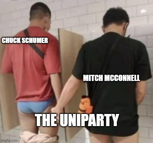 Chuck Schumer and Mitch McConnell | CHUCK SCHUMER; MITCH MCCONNELL; THE UNIPARTY | image tagged in two guys pee | made w/ Imgflip meme maker