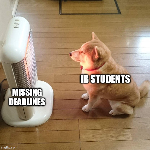 shiba in front of heater | IB STUDENTS; MISSING DEADLINES | image tagged in shiba in front of heater,ib diploma,education,ib memes | made w/ Imgflip meme maker