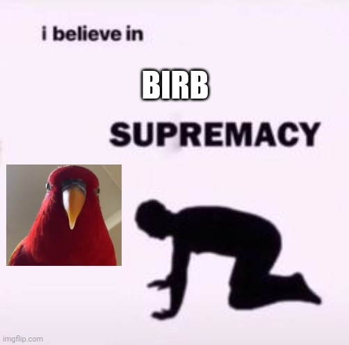 I believe in supremacy | BIRB | image tagged in i believe in supremacy | made w/ Imgflip meme maker