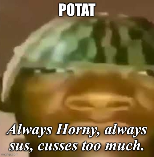 Crap Post 1: Potat (last time I made like 58 of these) | POTAT; Always Horny, always sus, cusses too much. | image tagged in shitpost | made w/ Imgflip meme maker