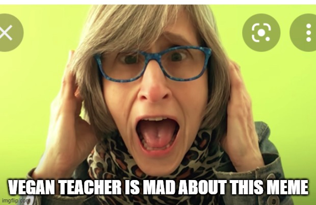 Vegan teacher | VEGAN TEACHER IS MAD ABOUT THIS MEME | image tagged in vegan teacher | made w/ Imgflip meme maker
