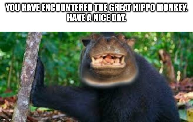 took some time to photoshop this but it is still bad lol | YOU HAVE ENCOUNTERED THE GREAT HIPPO MONKEY.
HAVE A NICE DAY. | image tagged in hippo,monkey,photoshop | made w/ Imgflip meme maker