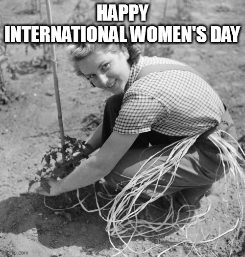 Vintage Housewife | HAPPY INTERNATIONAL WOMEN'S DAY | image tagged in vintage housewife | made w/ Imgflip meme maker