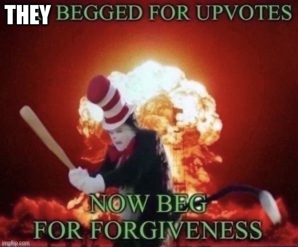 Beg for forgiveness | THEY | image tagged in beg for forgiveness | made w/ Imgflip meme maker