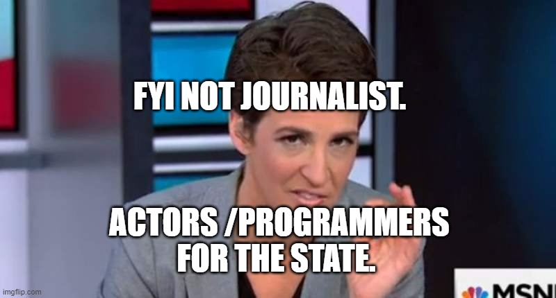 Rachel Maddow | FYI NOT JOURNALIST. ACTORS /PROGRAMMERS FOR THE STATE. | image tagged in rachel maddow | made w/ Imgflip meme maker