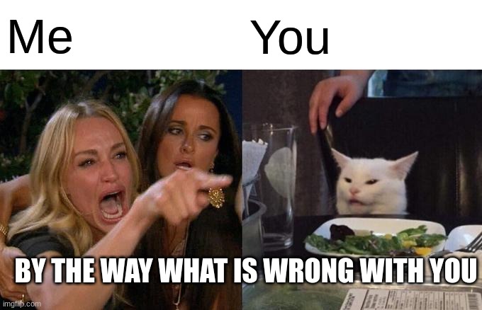 Woman Yelling At Cat Meme | Me You BY THE WAY WHAT IS WRONG WITH YOU | image tagged in memes,woman yelling at cat | made w/ Imgflip meme maker