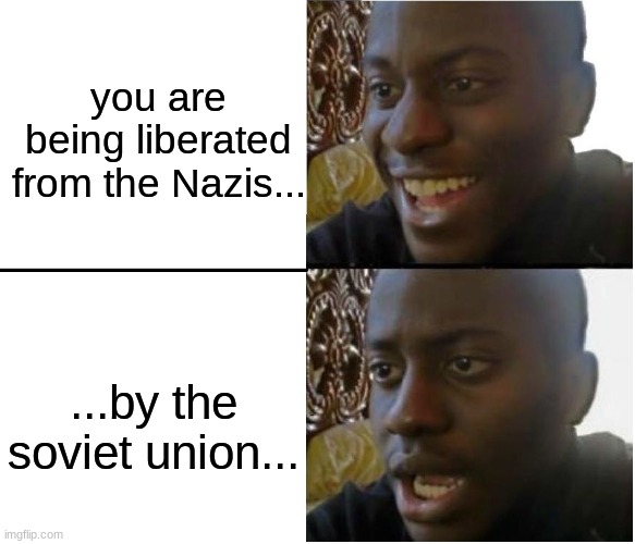 expect your lives to barely change at all | you are being liberated from the Nazis... ...by the soviet union... | image tagged in black dude | made w/ Imgflip meme maker