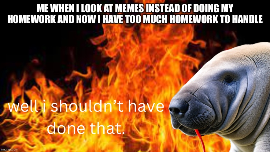 Sam the sea cow’s homework | ME WHEN I LOOK AT MEMES INSTEAD OF DOING MY HOMEWORK AND NOW I HAVE TOO MUCH HOMEWORK TO HANDLE | image tagged in sam the sea cow,manatee,fire,homework,memes | made w/ Imgflip meme maker