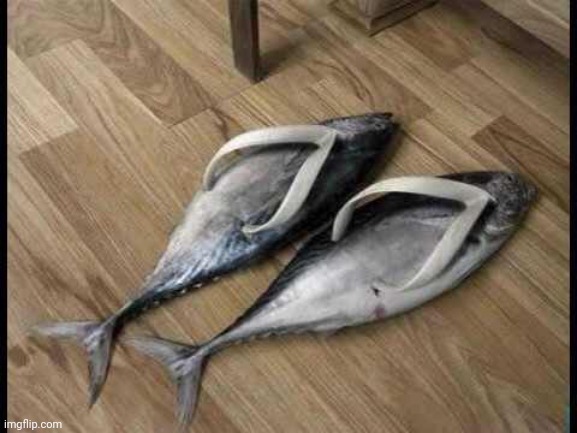 Fish Flops | image tagged in fish flops | made w/ Imgflip meme maker