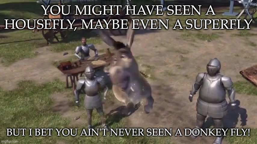 Donkey flies Shrek | YOU MIGHT HAVE SEEN A HOUSEFLY, MAYBE EVEN A SUPERFLY; BUT I BET YOU AIN'T NEVER SEEN A DONKEY FLY! | image tagged in donkey,fly,flying | made w/ Imgflip meme maker