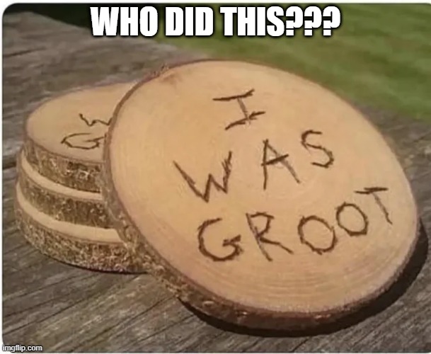 Grooooooot | WHO DID THIS??? | image tagged in groot | made w/ Imgflip meme maker