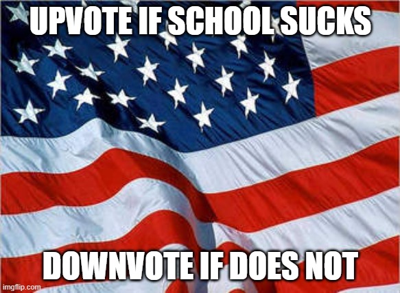 USA Flag | UPVOTE IF SCHOOL SUCKS; DOWNVOTE IF DOES NOT | image tagged in usa flag | made w/ Imgflip meme maker