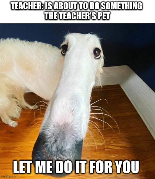 Let me do it for you... | TEACHER: IS ABOUT TO DO SOMETHING 
THE TEACHER'S PET; LET ME DO IT FOR YOU | image tagged in let me do it for you | made w/ Imgflip meme maker