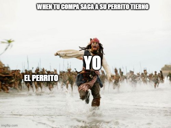 #1 | WHEN TU COMPA SACA A SU PERRITO TIERNO; YO; EL PERRITO | image tagged in memes,jack sparrow being chased | made w/ Imgflip meme maker