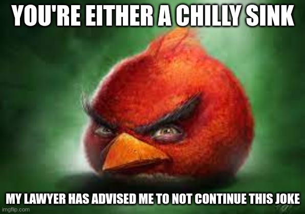 Realistic Red Angry Birds | YOU'RE EITHER A CHILLY SINK; MY LAWYER HAS ADVISED ME TO NOT CONTINUE THIS JOKE | image tagged in realistic red angry birds | made w/ Imgflip meme maker