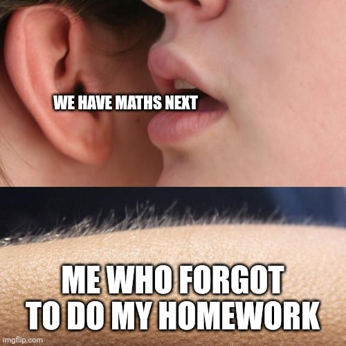 Whisper and Goosebumps | WE HAVE MATHS NEXT; ME WHO FORGOT TO DO MY HOMEWORK | image tagged in whisper and goosebumps | made w/ Imgflip meme maker