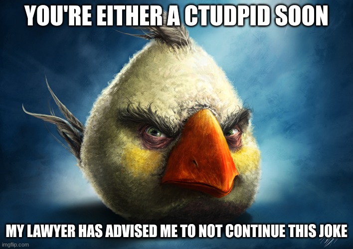 Real White Angry Bird | YOU'RE EITHER A CTUDPID SOON; MY LAWYER HAS ADVISED ME TO NOT CONTINUE THIS JOKE | image tagged in real white angry bird | made w/ Imgflip meme maker