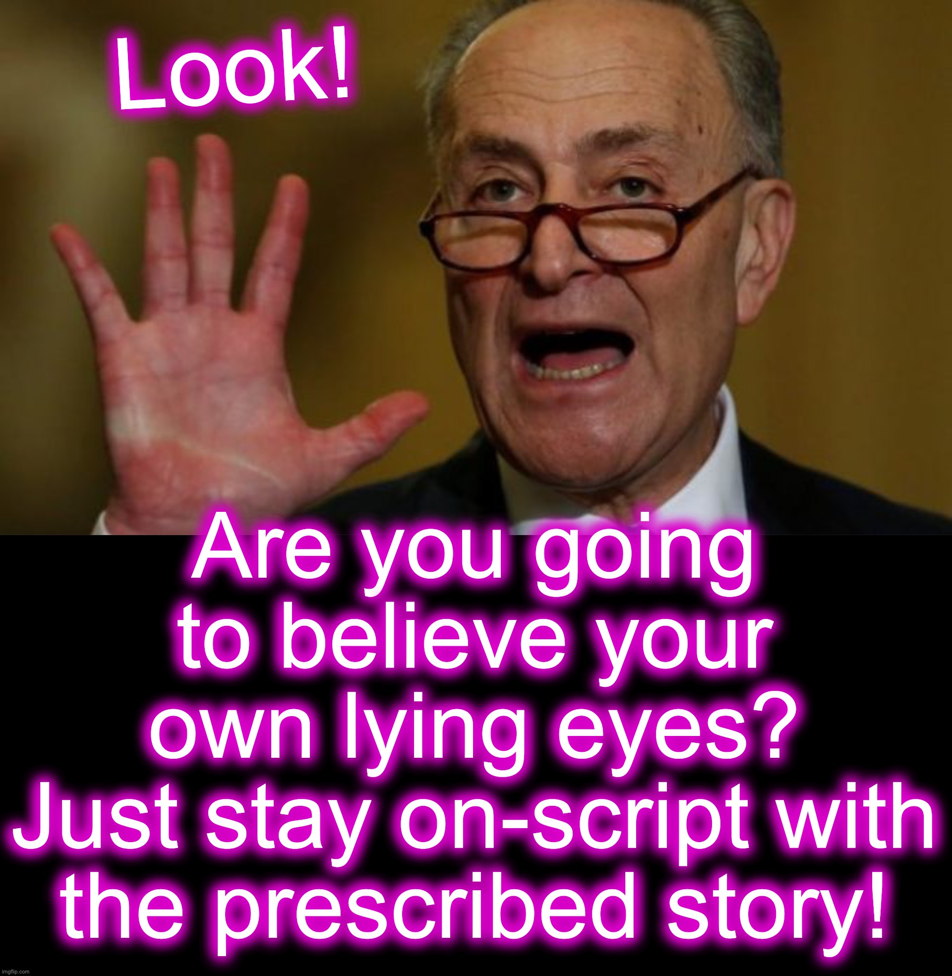 As real as the hair-plugs? [warning: pay-no-attention-to-behind-the-curtains satire] | Look! Are you going to believe your own lying eyes?
Just stay on-script with the prescribed story! | image tagged in chuck schumer,black box | made w/ Imgflip meme maker
