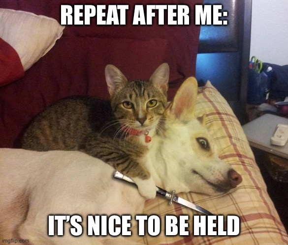 Hold me | REPEAT AFTER ME: IT’S NICE TO BE HELD | image tagged in dog hostage | made w/ Imgflip meme maker
