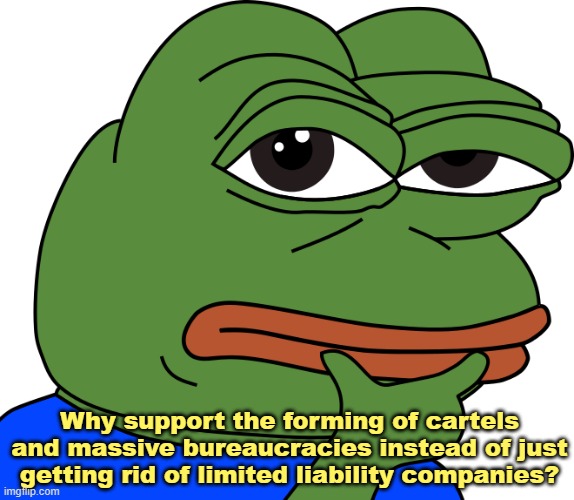 Why support the forming of cartels and massive bureaucracies instead of just getting rid of limited liability companies? | made w/ Imgflip meme maker