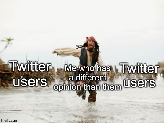 Bro why are they like this? It's so annoying! | Twitter users; Twitter users; Me who has a different opinion than them | image tagged in memes,jack sparrow being chased | made w/ Imgflip meme maker