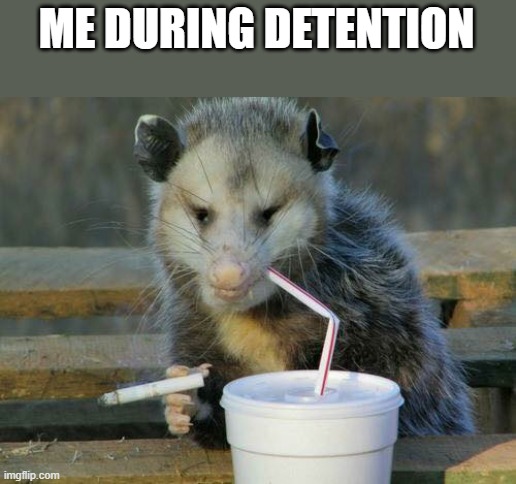 Smoking opossum | ME DURING DETENTION | image tagged in smoking opossum | made w/ Imgflip meme maker