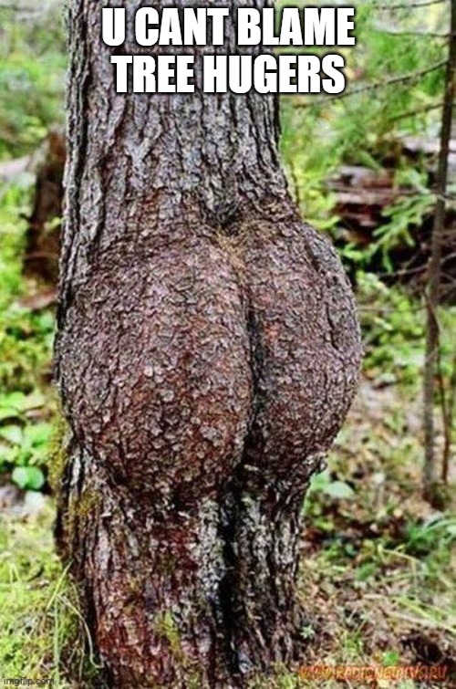 Sexy Tree | U CANT BLAME TREE HUGERS | image tagged in sexy tree | made w/ Imgflip meme maker