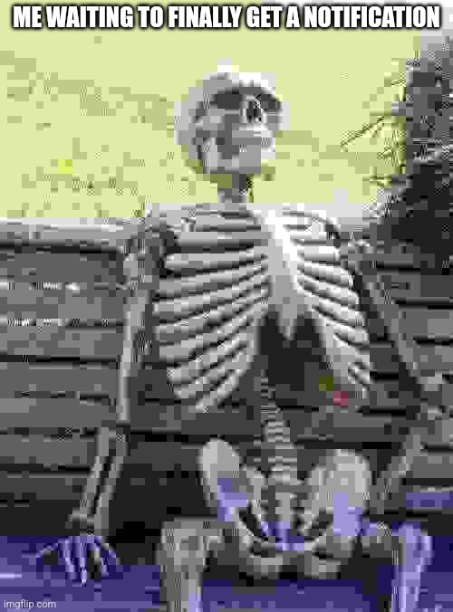 It's been a long time... | ME WAITING TO FINALLY GET A NOTIFICATION | image tagged in memes,waiting skeleton | made w/ Imgflip meme maker