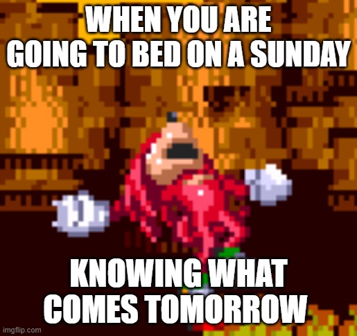 Knuckles Trying To Balance | WHEN YOU ARE GOING TO BED ON A SUNDAY; KNOWING WHAT COMES TOMORROW | image tagged in knuckles trying to balance | made w/ Imgflip meme maker