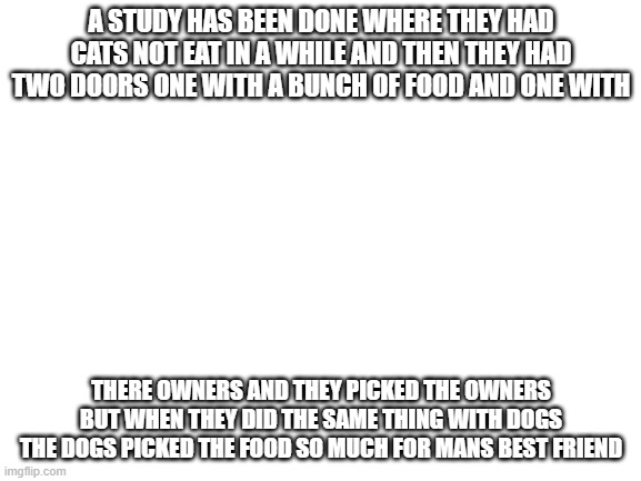 Blank White Template | A STUDY HAS BEEN DONE WHERE THEY HAD CATS NOT EAT IN A WHILE AND THEN THEY HAD TWO DOORS ONE WITH A BUNCH OF FOOD AND ONE WITH; THERE OWNERS AND THEY PICKED THE OWNERS BUT WHEN THEY DID THE SAME THING WITH DOGS THE DOGS PICKED THE FOOD SO MUCH FOR MANS BEST FRIEND | image tagged in blank white template | made w/ Imgflip meme maker